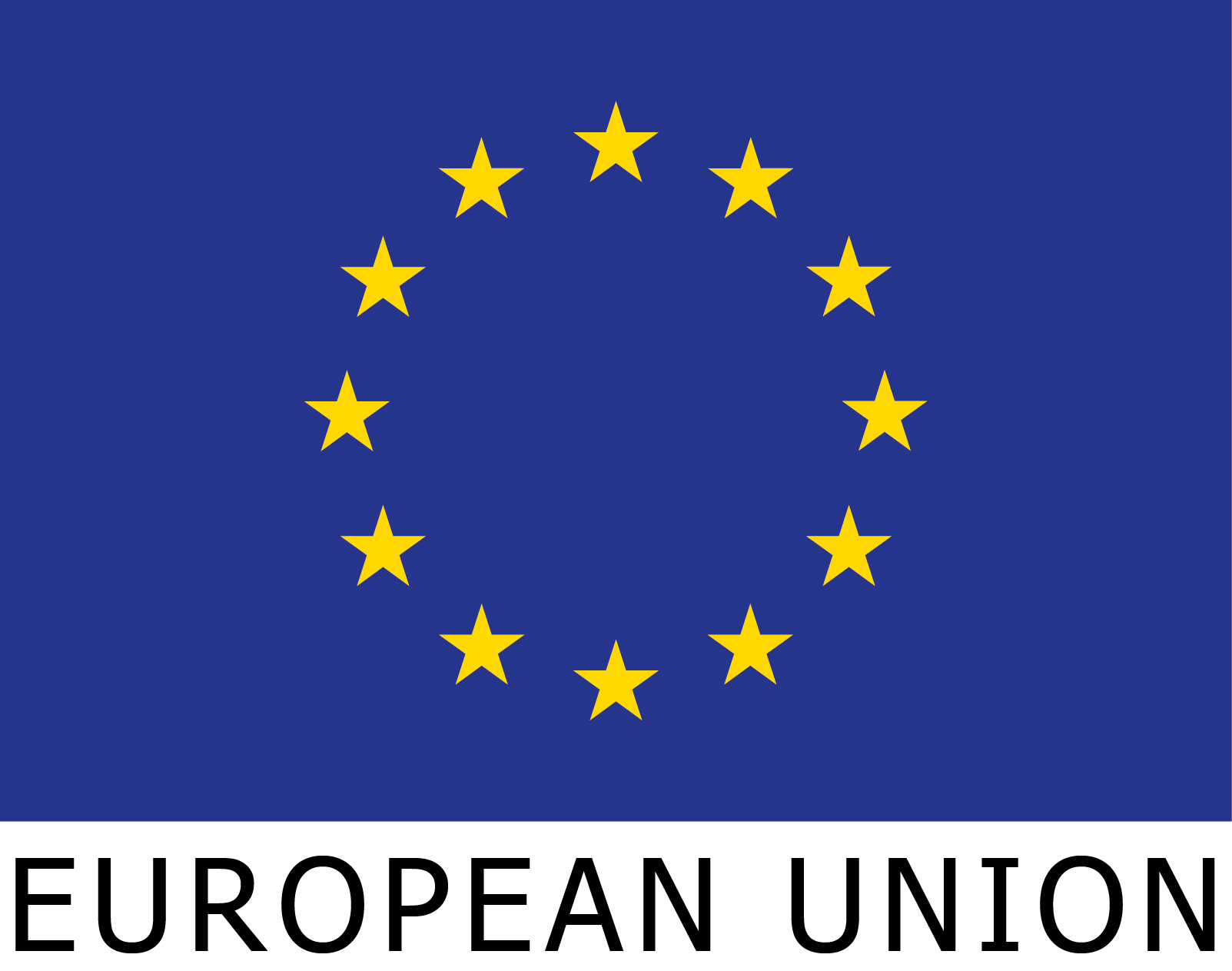 Clean Water & Sanitation NGO - EU flag RGB